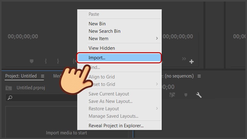 Hướng dẫn sử dụng Adobe Premiere Pro để xóa logo trong video